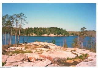 Photo 5: 3351 Miller Island in Alban: Parry Sound Residential for sale : MLS®# 40508119