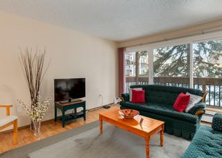 Photo 13: 208 816 89 Avenue SW in Calgary: Haysboro Apartment for sale : MLS®# A2013027