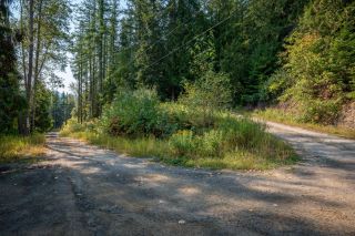 Photo 18: 2009 HAPPY VALLEY ROAD in Rossland: Vacant Land for sale : MLS®# 2472960