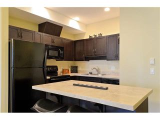Photo 6: 305 20281 53A Avenue in Langley: Langley City Condo for sale in "GIBBONS LAYNE" : MLS®# F1429057