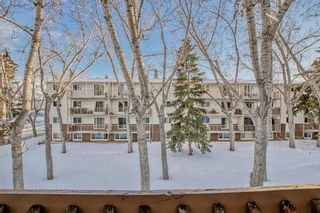 Photo 24: 28 3519 49 Street NW in Calgary: Varsity Apartment for sale : MLS®# A2011852