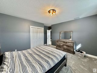 Photo 42: 57023 RGE RD 231: Rural Sturgeon County House for sale : MLS®# E4383250