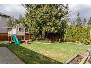 Photo 20: 4215 199A Street in Langley: Brookswood Langley House for sale : MLS®# R2149185