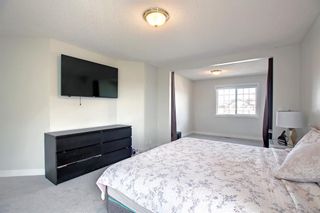 Photo 25: 14 Coral Springs Gardens NE in Calgary: Coral Springs Detached for sale : MLS®# A1224849