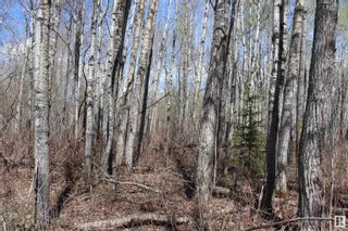 Photo 5: 7 Northbrook Estates: Rural Thorhild County Rural Land/Vacant Lot for sale : MLS®# E4295430
