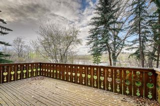 Photo 7: 8132 48 Avenue NW in Calgary: Bowness Detached for sale : MLS®# A2050353
