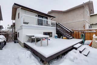 Photo 37: 136 Templeby Place NE in Calgary: Temple Detached for sale : MLS®# A2014762