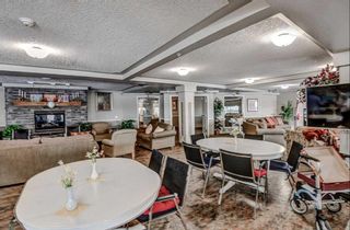 Photo 20: 3316 3000 Millrise Point SW in Calgary: Millrise Apartment for sale : MLS®# A2128348