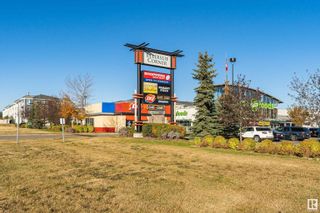 Photo 41: 324 226 MACEWAN Road in Edmonton: Zone 55 Condo for sale : MLS®# E4383436