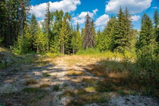 Photo 14: 4248 CASINO ROAD in Trail: Vacant Land for sale : MLS®# 2467465