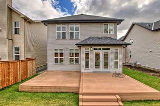 Photo 50: 17 Tremblant Terrace SW in Calgary: Springbank Hill Detached for sale : MLS®# A2084651