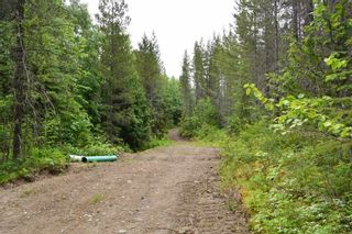 Photo 27: DL 1335A 37 Highway: Kitwanga Land for sale (Smithers And Area (Zone 54))  : MLS®# R2471833