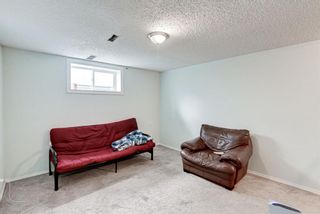 Photo 40: 7 Sandalwood Heights NW in Calgary: Sandstone Valley Detached for sale : MLS®# A1235129