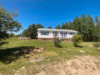Main Photo: 20029 N MARTEN Road in Fort St. John: Buick Creek Manufactured Home for sale : MLS®# R2772582