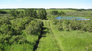 Photo 20: TWP RD 272 & RR 41 in Rural Rocky View County: Rural Rocky View MD Residential Land for sale : MLS®# A2030536