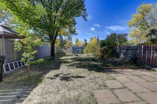 Photo 6: 51A Fonda Green SE in Calgary: Forest Heights Semi Detached (Half Duplex) for sale : MLS®# A2002293