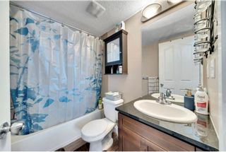 Photo 10: 404 7110 80 Avenue NE in Calgary: Saddle Ridge Apartment for sale : MLS®# A2020322