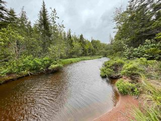 Photo 8: Gillis Point Road in Gillis Point: 209-Victoria County / Baddeck Vacant Land for sale (Cape Breton)  : MLS®# 202221313