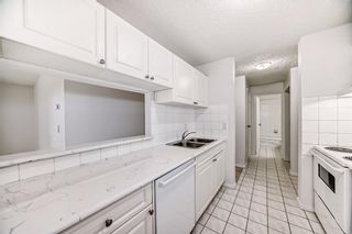 Photo 3: 305 1735 11 Avenue SW in Calgary: Sunalta Apartment for sale : MLS®# A2124269