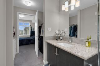 Photo 16: 303 6703 New Brighton Avenue SE in Calgary: New Brighton Apartment for sale : MLS®# A2049772