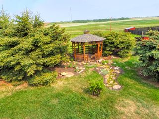 Photo 24: 40411 Range Road 245.5: Rural Lacombe County Detached for sale : MLS®# A2077142