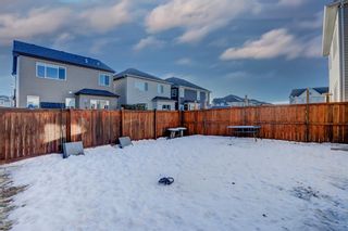 Photo 32: 10 Windwood Grove SW: Airdrie Detached for sale : MLS®# A2019256