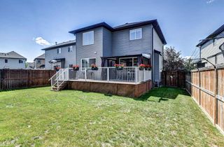 Photo 41: 2886 Chinook Winds Drive SW: Airdrie Detached for sale : MLS®# A2070148
