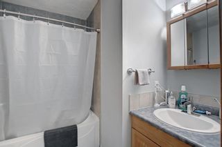Photo 12: 28 Abbercove Drive SE in Calgary: Abbeydale Detached for sale : MLS®# A1240781