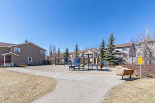 Photo 49: 100 Thornfield Close SE: Airdrie Detached for sale : MLS®# A1094943