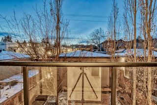 Photo 22: 3925 15A Street SW in Calgary: Altadore Detached for sale : MLS®# A2019413