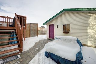 Photo 28: 1110 Prestwick Circle SE in Calgary: McKenzie Towne Detached for sale : MLS®# A2024358