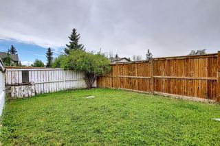 Photo 33: 156 Taradale Close NE in Calgary: Taradale Detached for sale : MLS®# A1115791
