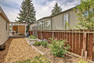 Photo 33: 26 3223 83 Street NW in Calgary: Greenwood/Greenbriar Mobile for sale : MLS®# A2054208