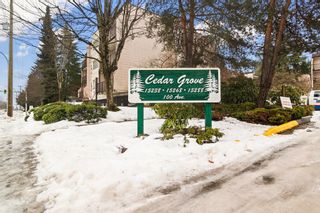 Photo 7: 215 15238 100 Avenue in Surrey: Guildford Condo for sale in "CEDAR GROVE" (North Surrey)  : MLS®# R2642140