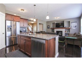 Photo 18: 659 COPPERPOND Circle SE in Calgary: Copperfield House for sale : MLS®# C4001282
