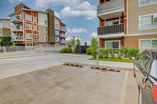 Photo 16: 7205 302 Skyview Ranch Drive NE in Calgary: Skyview Ranch Apartment for sale : MLS®# A2052941