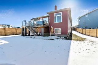 Photo 45: 44 Legacy Court SE in Calgary: Legacy Detached for sale : MLS®# A2119866