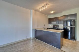 Photo 21: 1013 8880 Horton Road SW in Calgary: Haysboro Apartment for sale : MLS®# A1171744