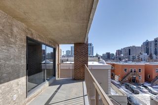 Photo 21: 408 1011 12 Avenue SW in Calgary: Beltline Apartment for sale : MLS®# A2020480