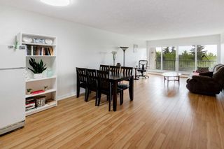 Photo 7: 204 316 Cedar Crescent SW in Calgary: Spruce Cliff Apartment for sale : MLS®# A2137183