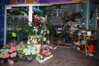 Photo 19: 1629 4500 KINGSWAY in Burnaby: Metrotown Business for sale (Burnaby South)  : MLS®# C8051183
