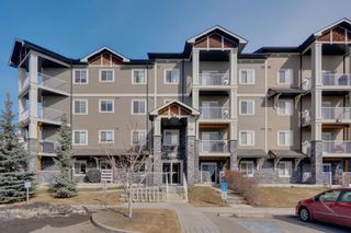 Photo 21: 1111 115 Preswick Villas in Calgary: McKenzie Towne Apartment for sale : MLS®# A1081474