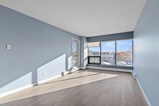 Photo 12: 306 659 4 Avenue NE in Calgary: Bridgeland/Riverside Apartment for sale : MLS®# A2011726