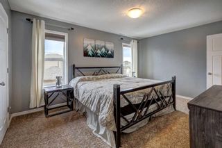 Photo 16: 1221 Ravenswood Drive: Airdrie Detached for sale : MLS®# A2119354