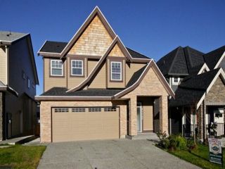 Main Photo: 21167 77A Avenue in Langley: Willoughby Heights House for sale in "YORKSON SOUTH" : MLS®# F1228759