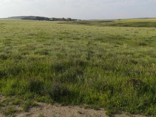 Photo 21: 255022A and B Range Road 235: Rural Wheatland County Residential Land for sale : MLS®# A2066615