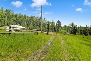 Photo 12: 0 Parkins Road: Millarville Residential Land for sale : MLS®# A1257087