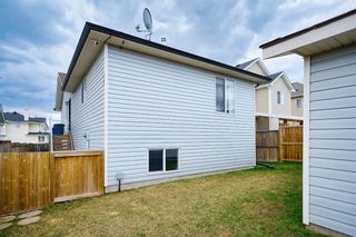 Photo 21: 260 Bridlewood Avenue SW in Calgary: Bridlewood Detached for sale : MLS®# A2129627