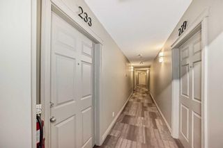 Photo 30: 233 910 Centre Avenue in Calgary: Bridgeland/Riverside Apartment for sale : MLS®# A2127142