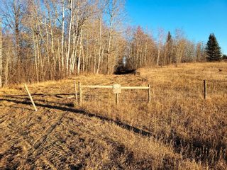 Photo 6: 51313 Rge Road 261: Rural Parkland County Rural Land/Vacant Lot for sale : MLS®# E4269500